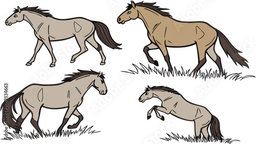 Set of four horses in various poses and actions, including running and jumping, illustrated in a naturalistic style on a white background
