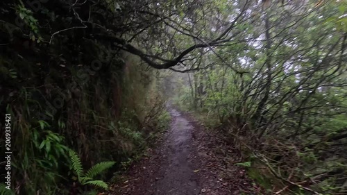 POV Walk Through a Flooded, Muddy Section of the Hiking Trail in Madeira, Portugal