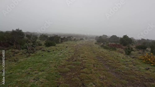 POV Walk Across a High-Altitude Plateau in Stormy Weather, Madeira, Portugal
