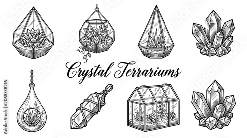 Hand-Drawn Geometric Terrarium and Crystal Illustration Set with Succulents and Plants