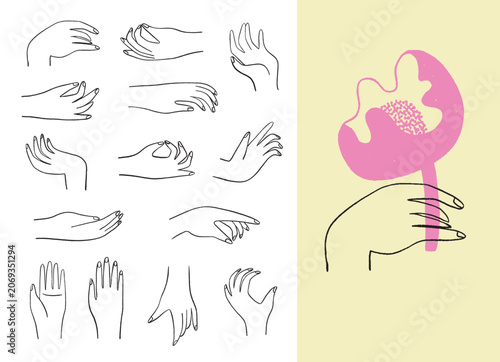 Line art human palms in different poses