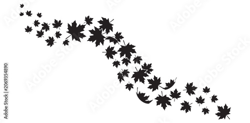 Black maple leaves falling isolated on white background in a diagonal curve