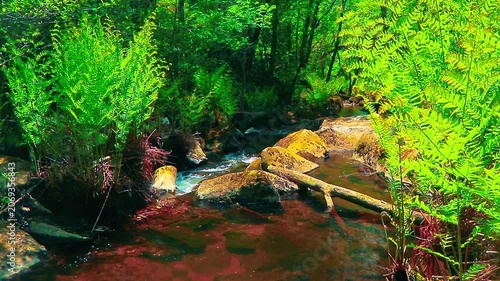 Landscape of a small stream in the Aude department, in the foothills of the Montagne Noire in Occitanie. Dense forest in the South of France.