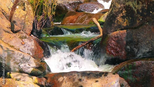 Landscape of a small stream in the Aude department, in the foothills of the Montagne Noire in Occitanie. Dense forest in the South of France.