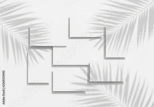 Geometric Shapes with Palm Tree Leaves
