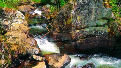Landscape of a small stream in the Aude department, in the foothills of the Montagne Noire in Occitanie. Dense forest in the South of France.