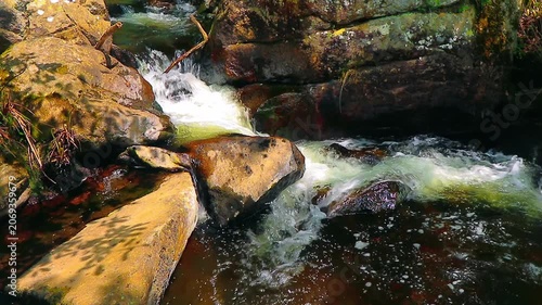 Landscape of a small stream in the Aude department, in the foothills of the Montagne Noire in Occitanie. Dense forest in the South of France.