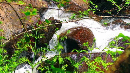 Landscape of a small stream in the Aude department, in the foothills of the Montagne Noire in Occitanie. Dense forest in the South of France.