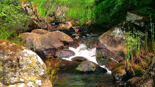 Landscape of a small stream in the Aude department, in the foothills of the Montagne Noire in Occitanie. Dense forest in the South of France.