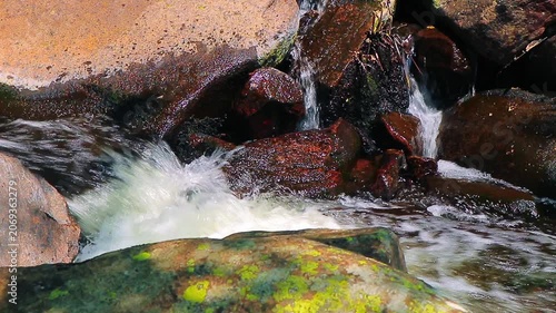 Landscape of a small stream in the Aude department, in the foothills of the Montagne Noire in Occitanie. Dense forest in the South of France.