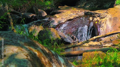 Landscape of a small stream in the Aude department, in the foothills of the Montagne Noire in Occitanie. Dense forest in the South of France.