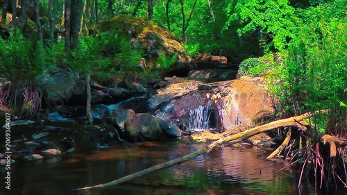 Landscape of a small stream in the Aude department, in the foothills of the Montagne Noire in Occitanie. Dense forest in the South of France.