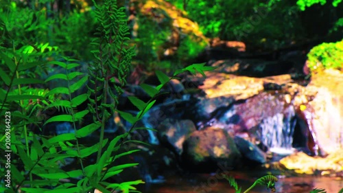 Landscape of a small stream in the Aude department, in the foothills of the Montagne Noire in Occitanie. Dense forest in the South of France.