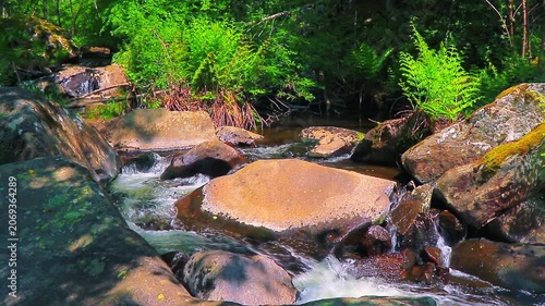 Landscape of a small stream in the Aude department, in the foothills of the Montagne Noire in Occitanie. Dense forest in the South of France.