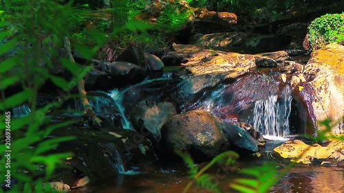 Landscape of a small stream in the Aude department, in the foothills of the Montagne Noire in Occitanie. Dense forest in the South of France.