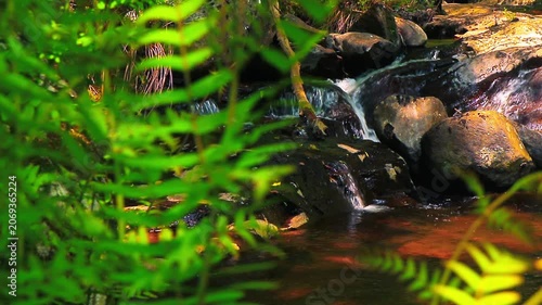 Landscape of a small stream in the Aude department, in the foothills of the Montagne Noire in Occitanie. Dense forest in the South of France.