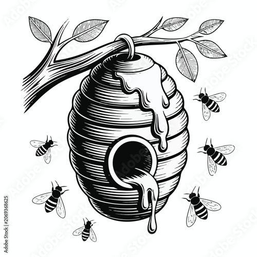 A black and white woodcut illustration of a traditional beehive hanging from a tree branch