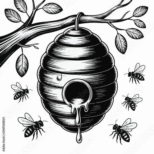 A black and white woodcut illustration of a traditional beehive hanging from a tree branch