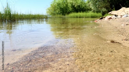 Gentle river waves washing over a sandy pebble shore with green reeds in the background on a summer day