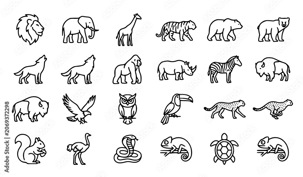 Obraz premium Safari Wildlife Animal Outline Collection with Birds Reptiles and Mammals