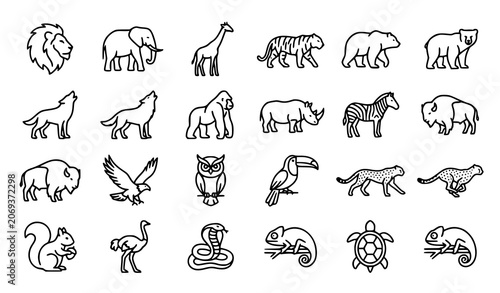 Photography Safari Wildlife Animal Outline Collection with Birds Reptiles and Mammals