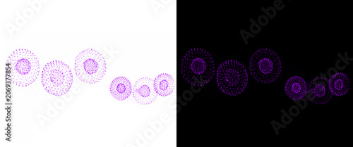 Konstfotografi Microscopic human egg cells on white and black backgrounds, purple stained ovum