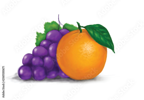 Orange and Purple Grapes Oil Pastel Style Vector Illustration Fresh Fruit Composition