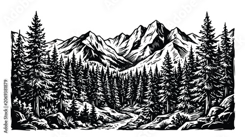 Vintage mountain landscape vector illustration, hand drawn pine forest and rocky peaks, rustic woodcut style wilderness scenery for outdoor branding