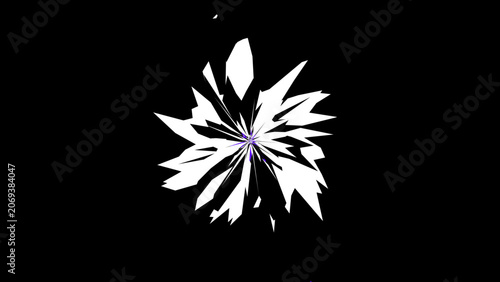 Abstract white flower, modern bloom, minimalist design, black background