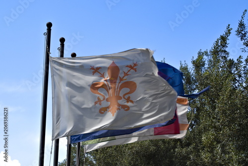 Flag of Florence, Italy