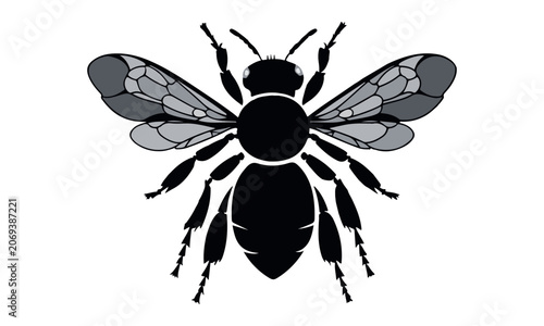 Bee silhouette on white background. Honey Bee icon vector. Fly vector, isolated on white background.