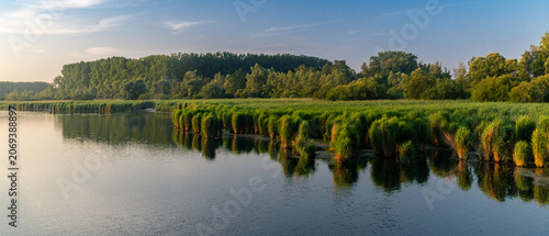 Fresh Summer Morning Reflections at Harchies Nature Reserve