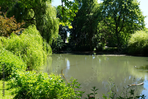 A peaceful and scenic view of a small pond with green water, surrounded by tall lush trees and dense vegetation in the public town park of Brunsbüttel, Germany, on a calm summer day.