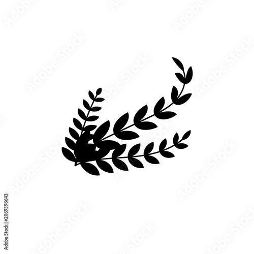 black and white feathers