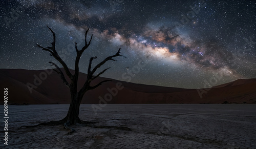 aurora over a desert