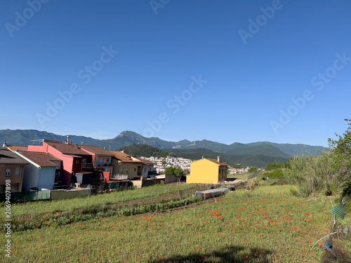 Olot residential homes with poppy field and mountains