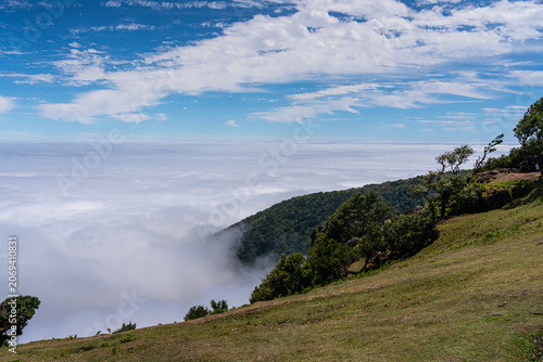 Cloud in the valley between mountains. Fanal forest, Madeira, Portugal.