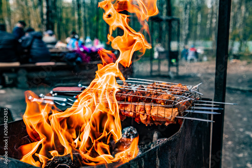 Canvas Print Appetizing kebabs on skewers over charcoal in a barbecue grill in nature