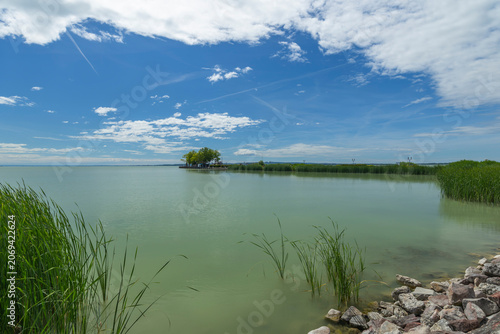 Lake Balaton shore view with reeds and summer sky