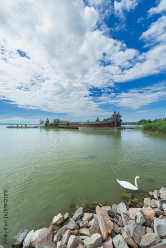 Swan swimming near Keszthely Balaton Bath House Hungary