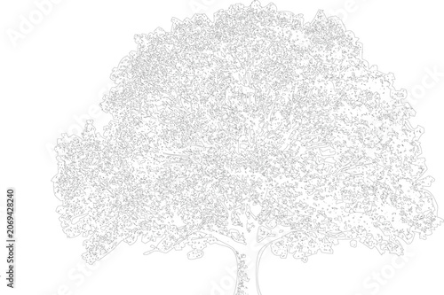 Photography Stylized tree illustration, abundant foliage, strong root system, detailed line art, emblem of nature and endurance, organic representation of arboreal life
