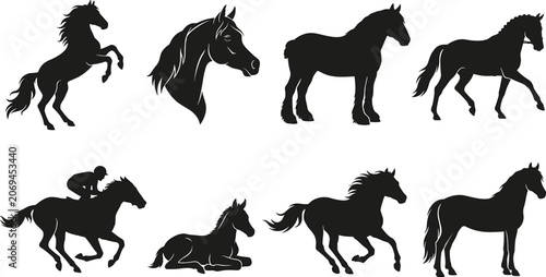 Bild auf Leinwand Set of black horse silhouettes in various poses including running, rearing, and