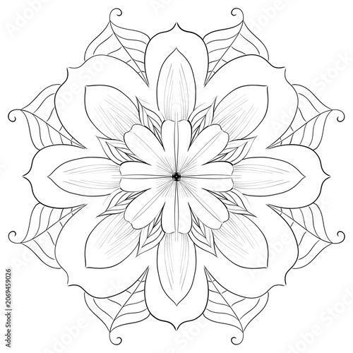 Symmetrical Vector Hand-Drawn Flower