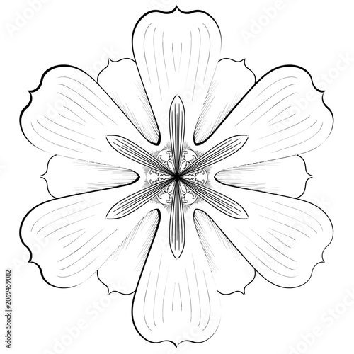 Symmetrical Vector Illustration Abstract Floral Icon