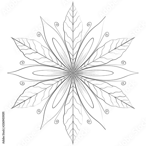 Symmetrical Floral Illustration of Floral Design Element