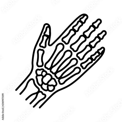 Canvastavla Hand and Finger Bones X-Ray Icon for Orthopedics