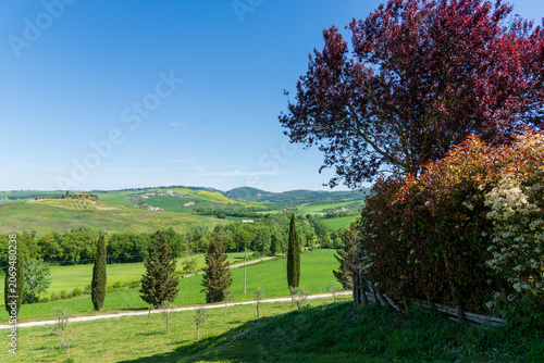 Fotografie Casella Trugi Farmhouse and cypress trees in Tuscany