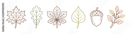 Various autumn leaves and natural elements in a charming hand-drawn outline style, perfect for seasonal designs and fall-themed projects.