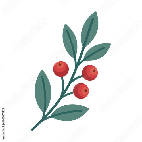 Winter Berry Branch With Red Berries Vector Illustration