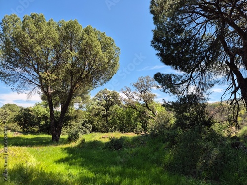 Paraje natural de la Sierra Morena, Andujar